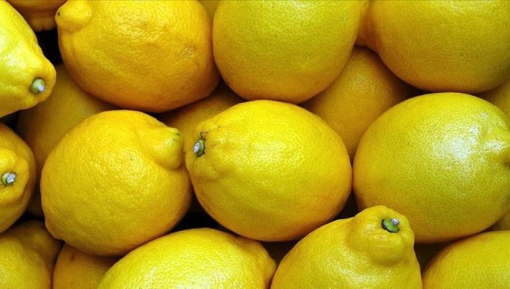 Üretici ve market arasındaki en yüksek fiyat farkı yüzde 378’le limonda